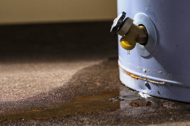 Best Water damage cleanup near me  in USA